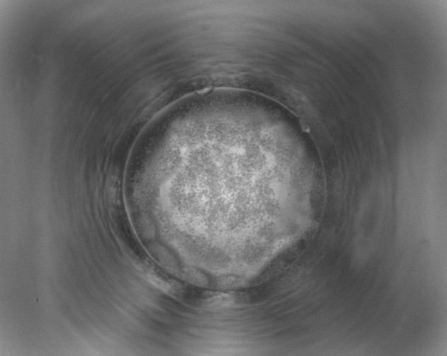 X0000078270083200611172041