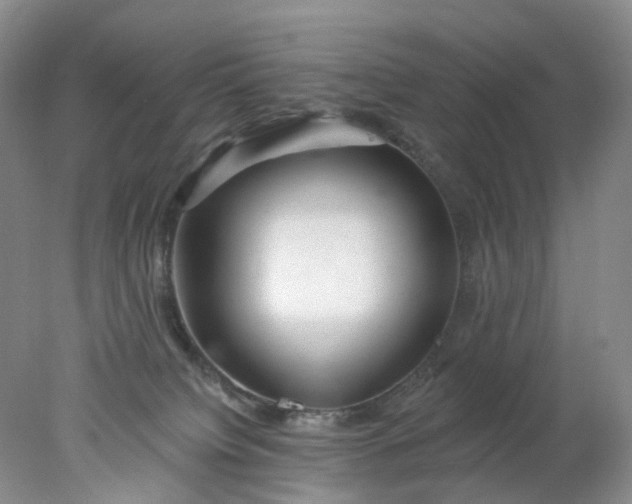 X0000078270084200611172042