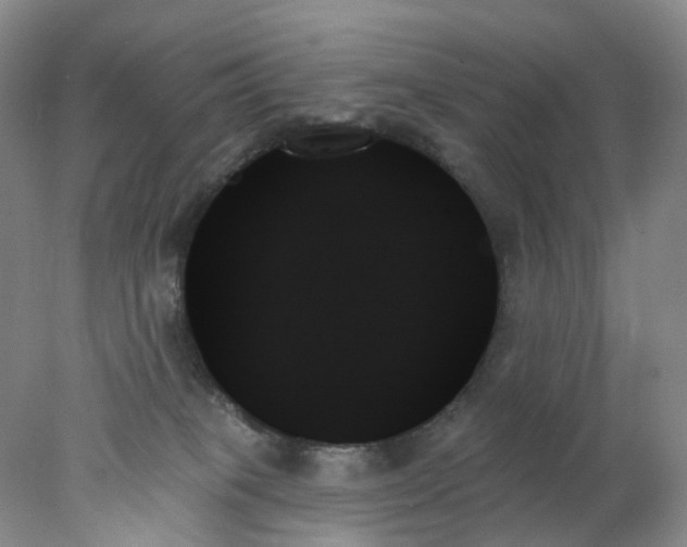 X0000078270085200611172042