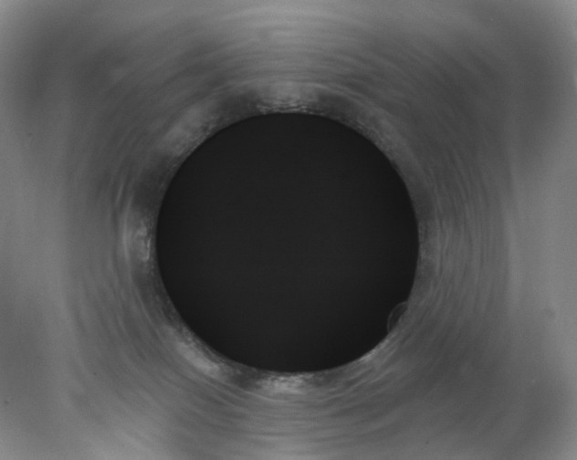 X0000078270086200611172042