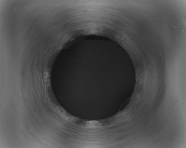 X0000078270087200611172042