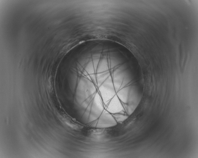 X0000078270088200611172042