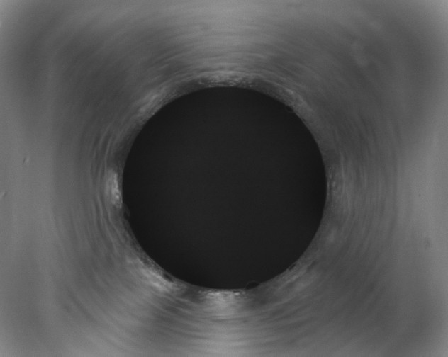 X0000078270089200611172042