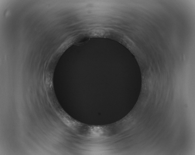 X0000078270091200611172042