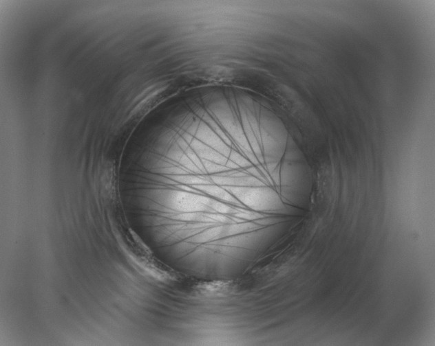 X0000078270092200611172042