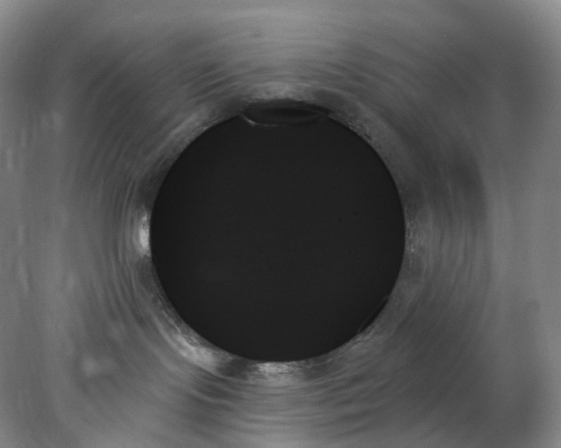 X0000078270095200611172042