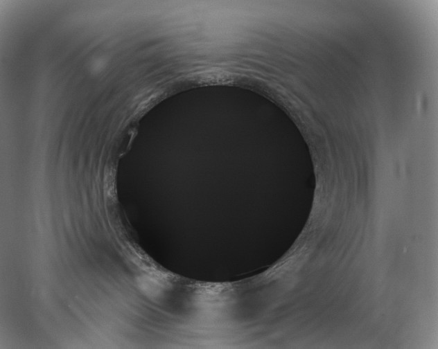 X0000078270096200611172042