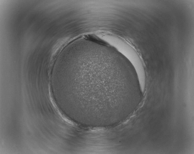 X0000078270097200611172041