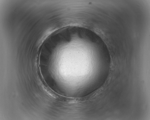 X0000078270098200611172041