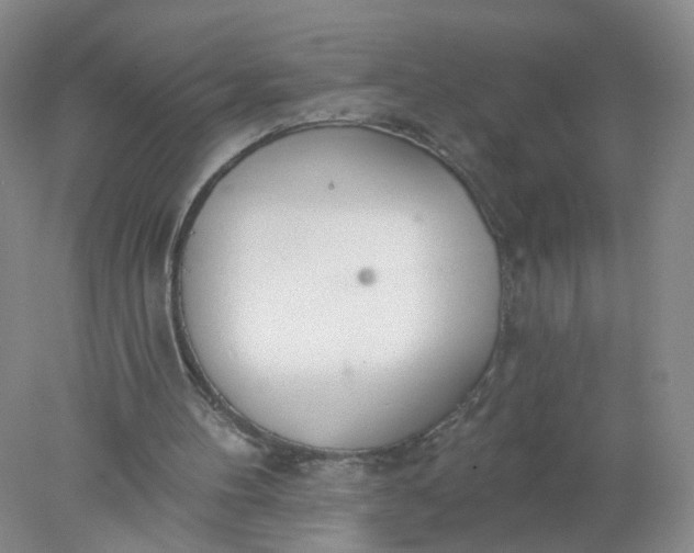 X0000078270100200611172041