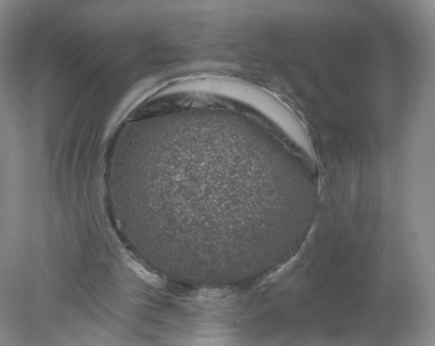 X0000078270101200611172041