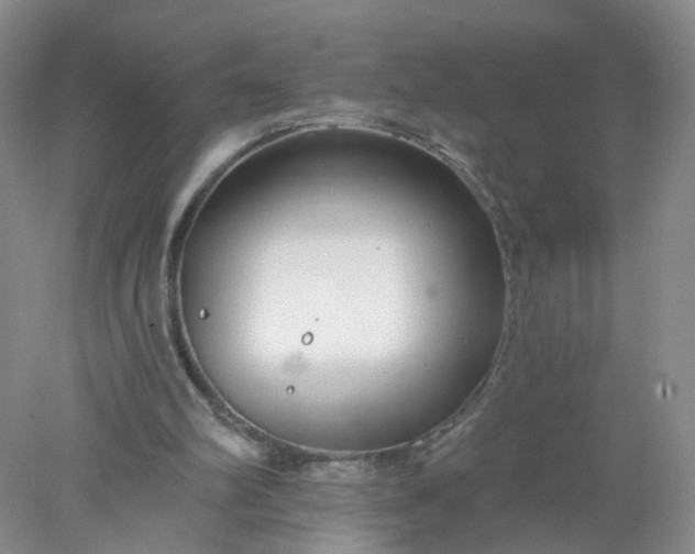 X0000078270102200611172041