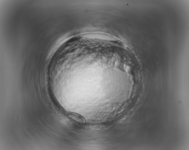 X0000078270103200611172041