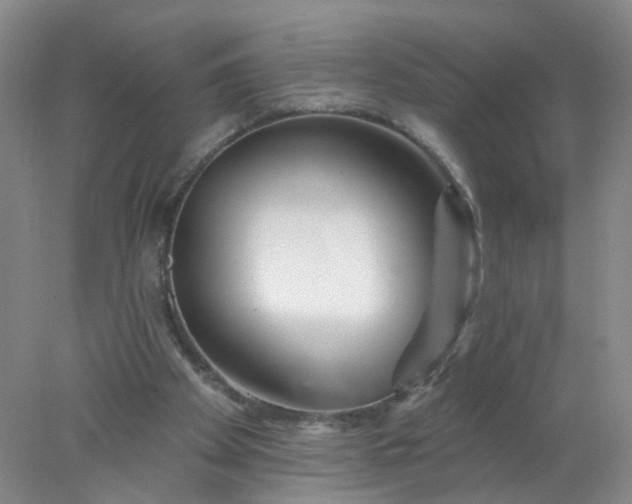 X0000078270105200611172041