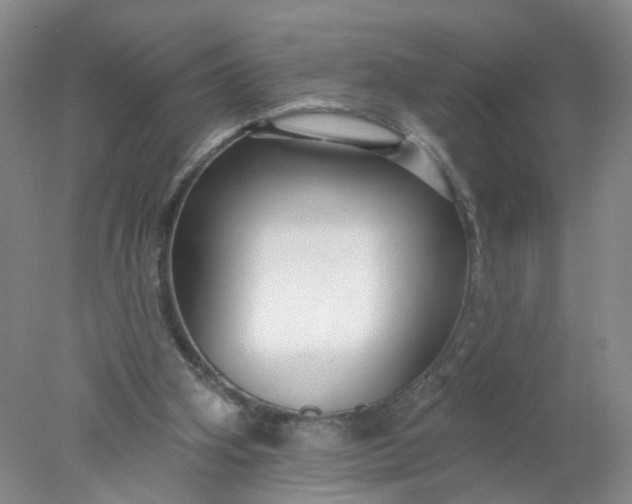 X0000078270106200611172041