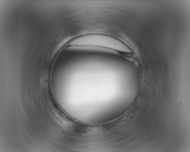 X0000078270107200611172041