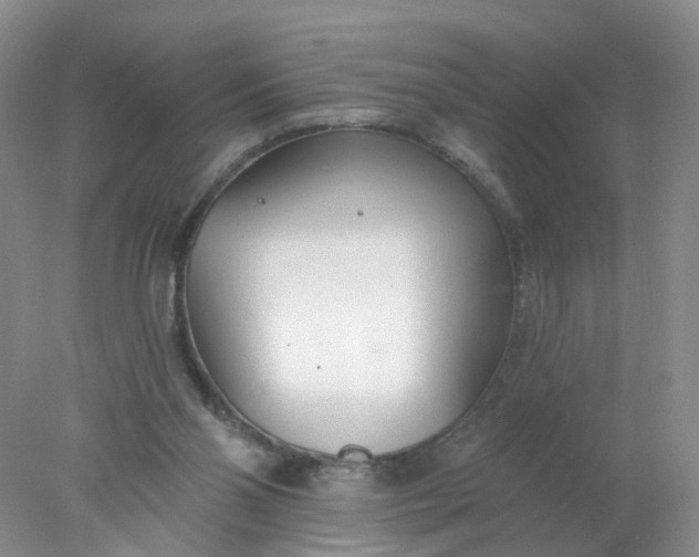 X0000078270110200611172041