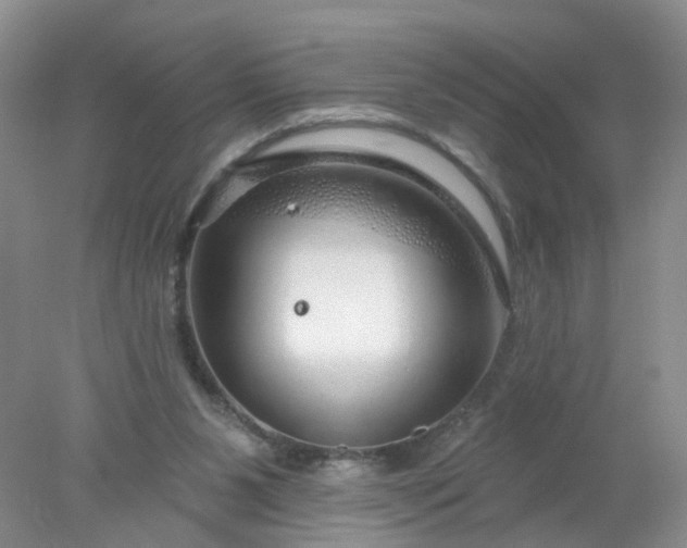 X0000078270111200611172041