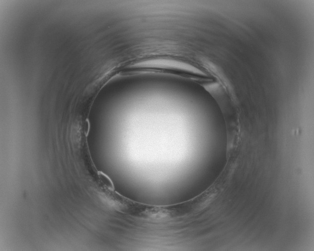 X0000078270113200611172041