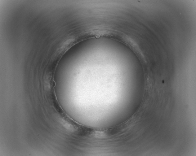 X0000078270114200611172041