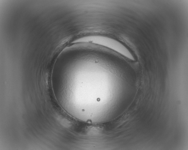 X0000078270115200611172041