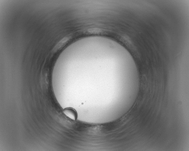 X0000078270116200611172041