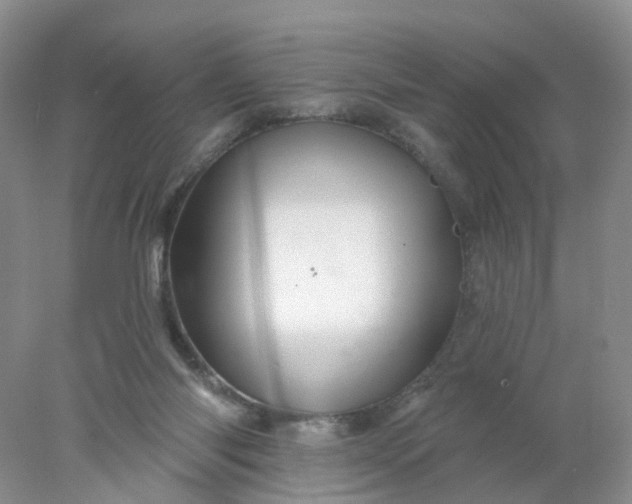 X0000078270118200611172041