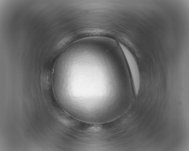 X0000078270119200611172041