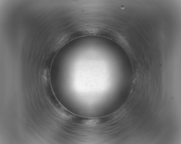 X0000078270122200611172040