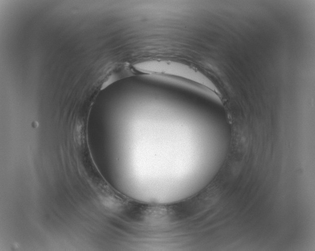 X0000078270123200611172040