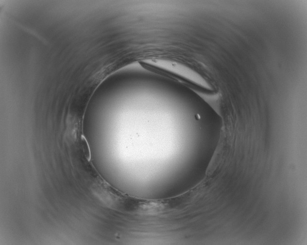 X0000078270125200611172040