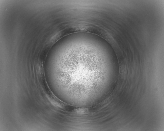 X0000078270126200611172040