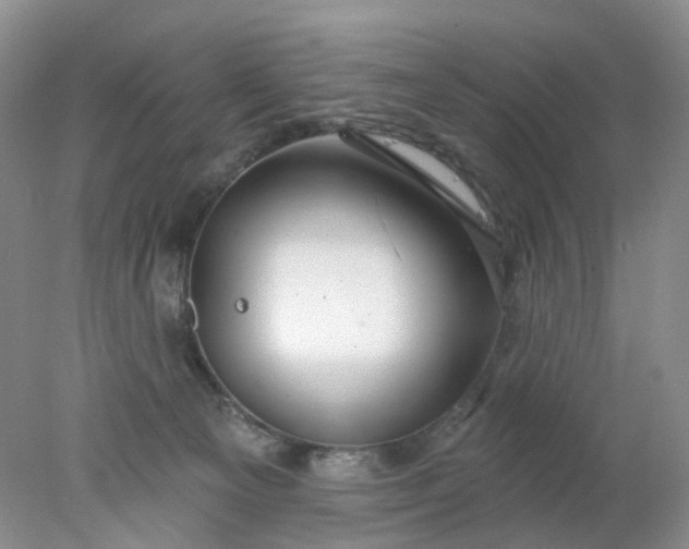 X0000078270129200611172040