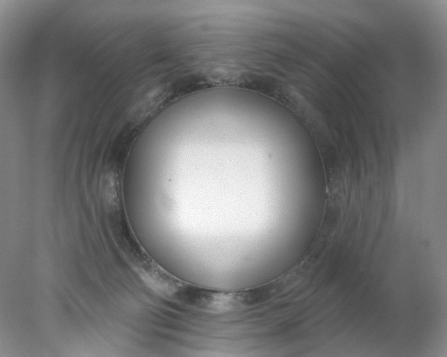 X0000078270130200611172040