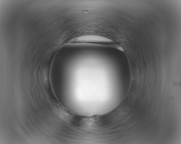 X0000078270131200611172040