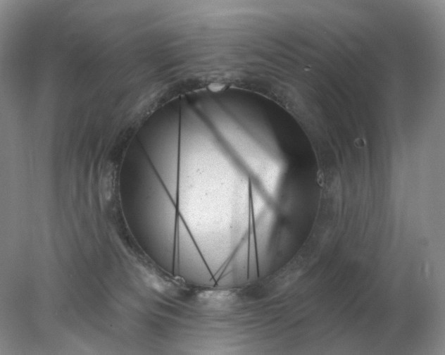 X0000078270133200611172040