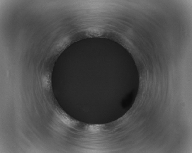 X0000078270134200611172040