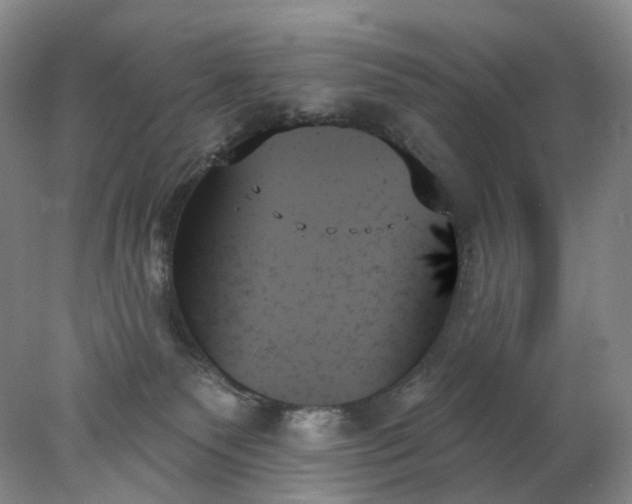 X0000078270135200611172040