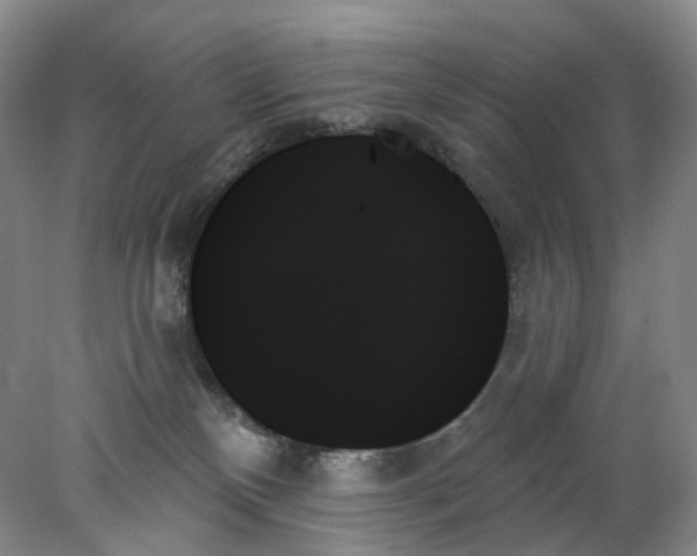 X0000078270136200611172040