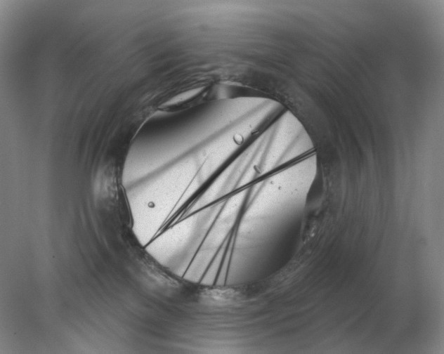 X0000078270137200611172040