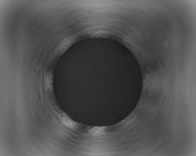 X0000078270138200611172040