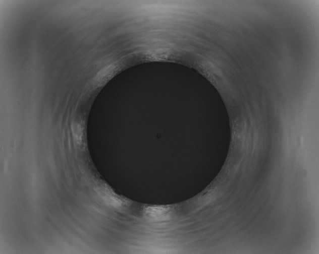 X0000078270139200611172040