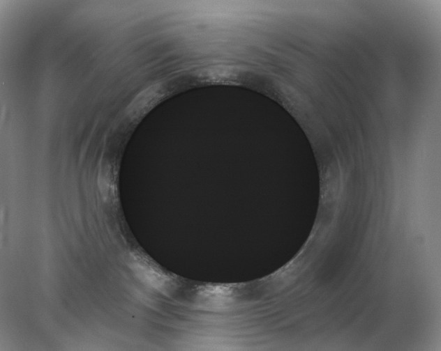 X0000078270140200611172040