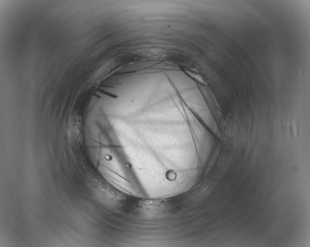 X0000078270141200611172040