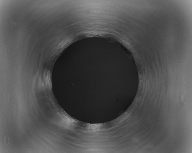 X0000078270143200611172040