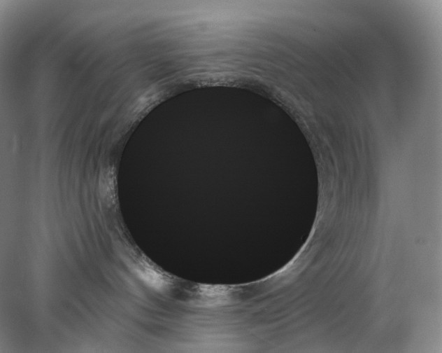 X0000078270144200611172040