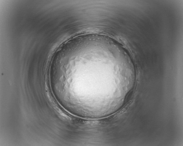 X0000078270145200611172039