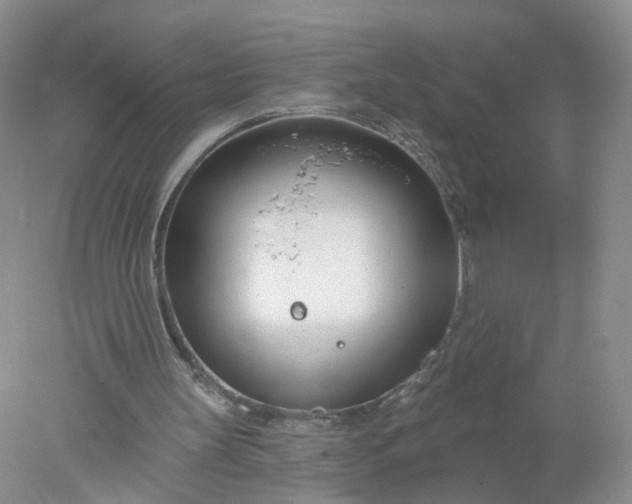 X0000078270147200611172039