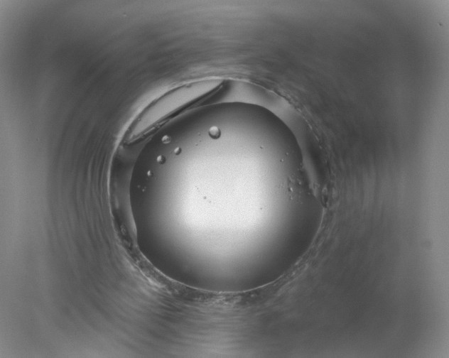 X0000078270148200611172039