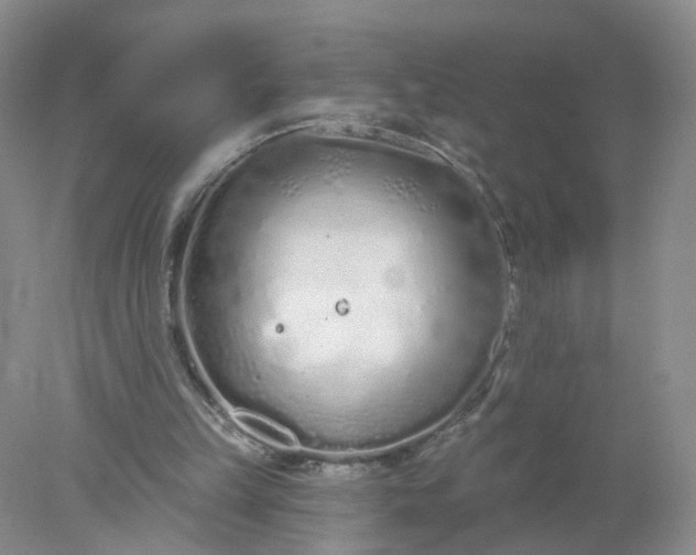 X0000078270149200611172039